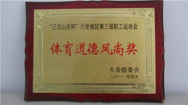第三届职工运动会体育道德风尚奖.jpg