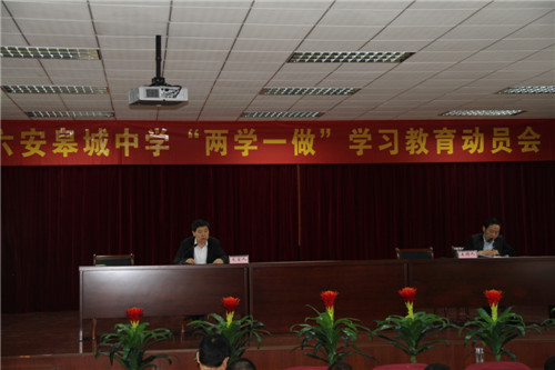 IMG_2595.jpg