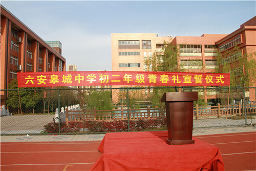 IMG_7773.jpg