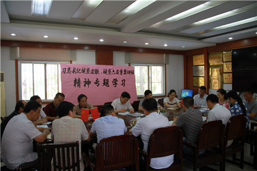 IMG_8740.jpg