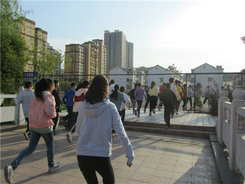 图片10_副本.png