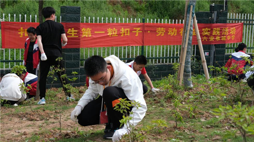 图片4_副本.png