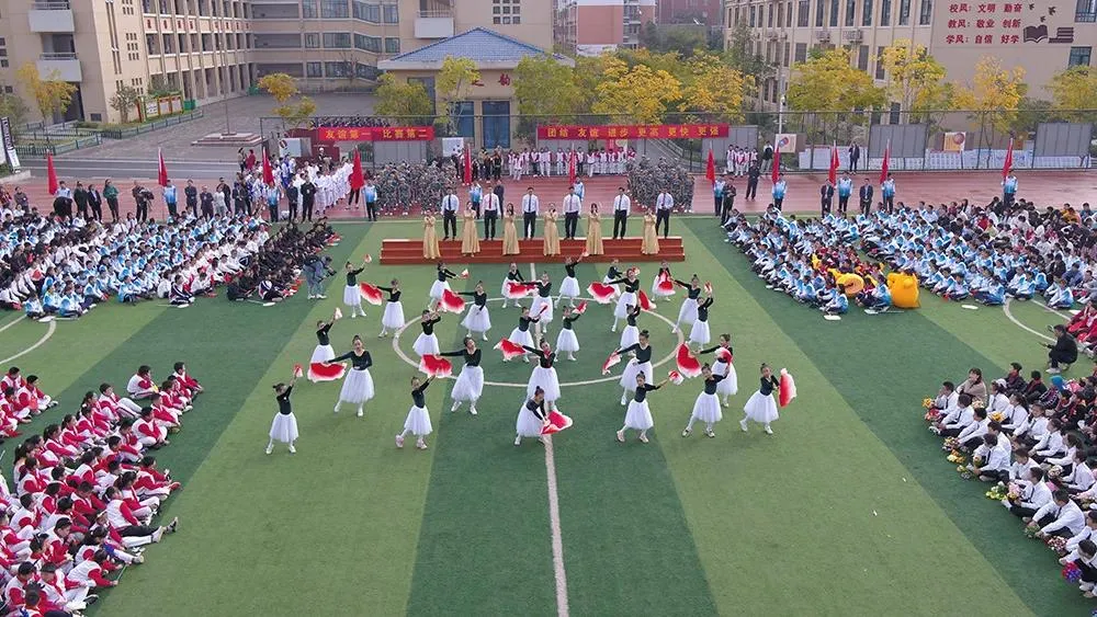 图片3
