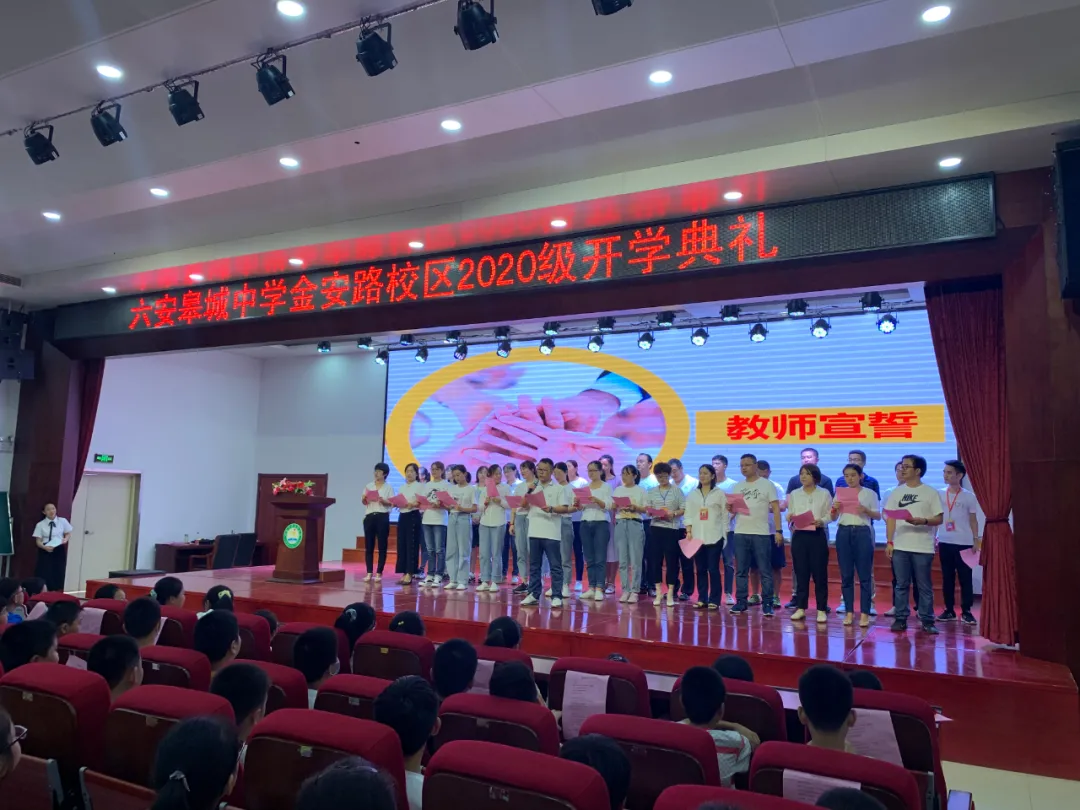图片11