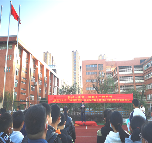 图片3
