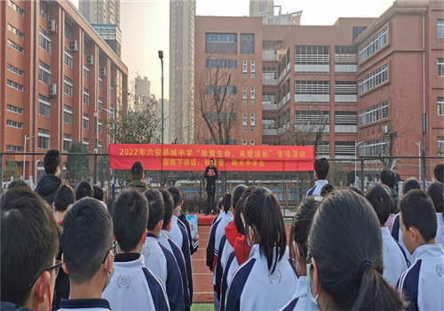 图片11_副本
