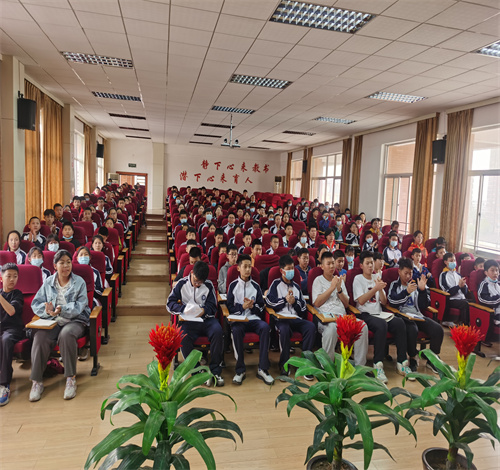 图片5