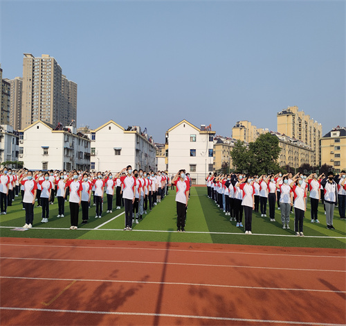 图片9