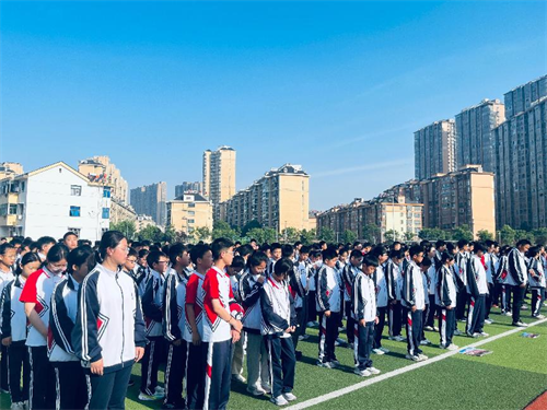 图片3