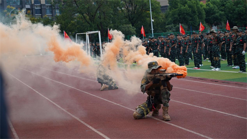 图片7