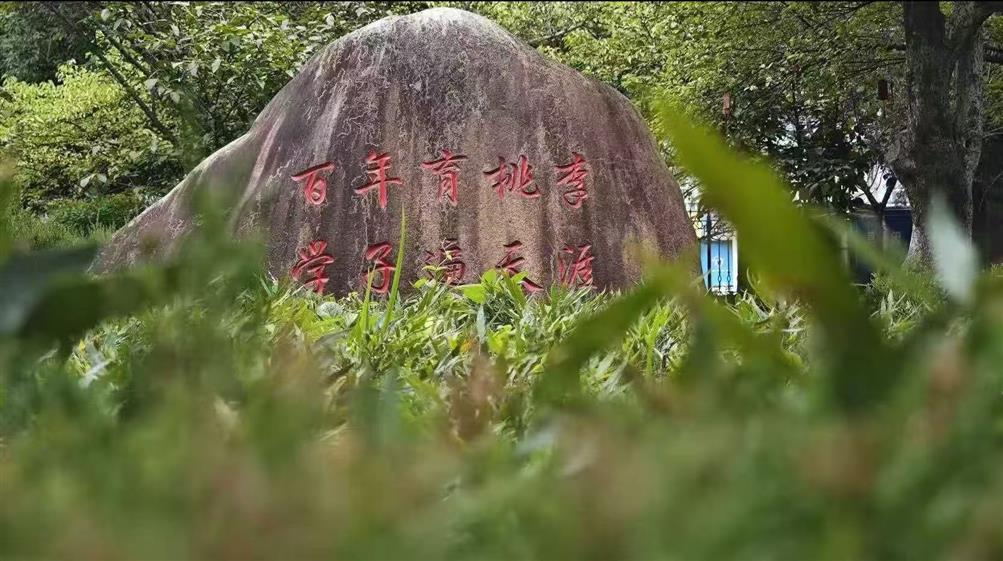 mmexport1761815543074 mmexport1761815543074.jpg