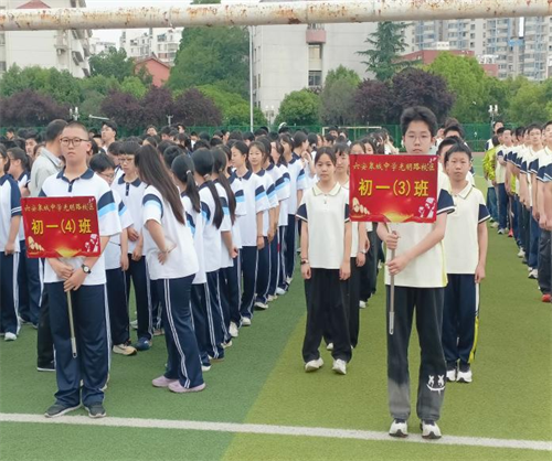图片31